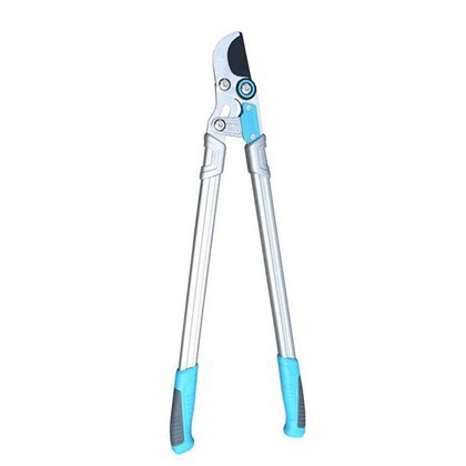 Lopping Pruning Shears
