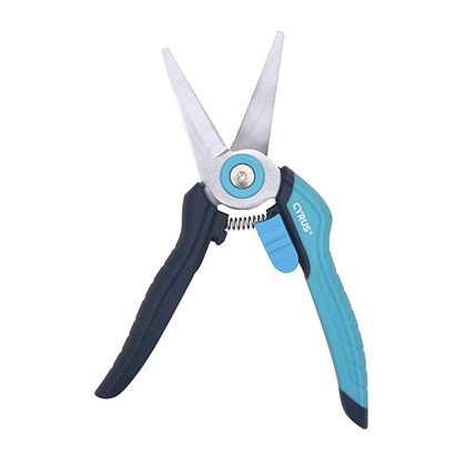 Straight Pruning Shears
